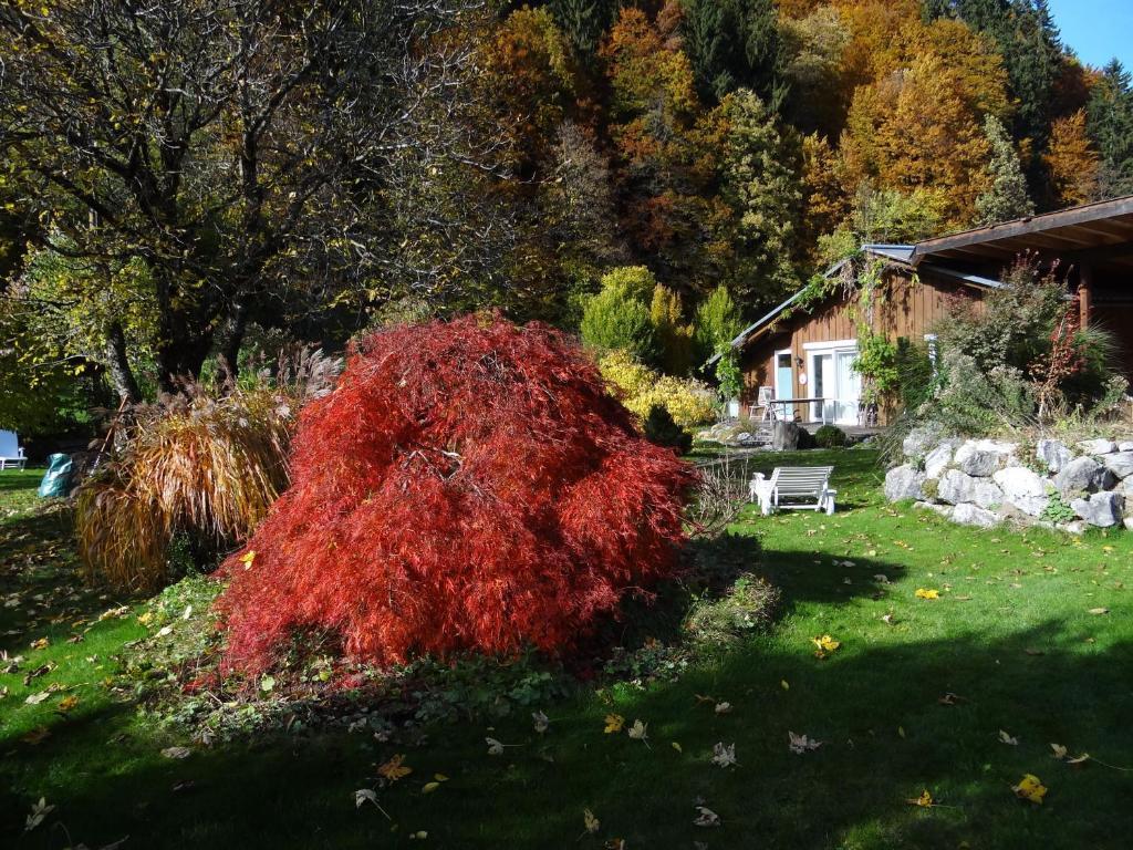 Gaestehaus Buehler Oberstdorf Rom bilde